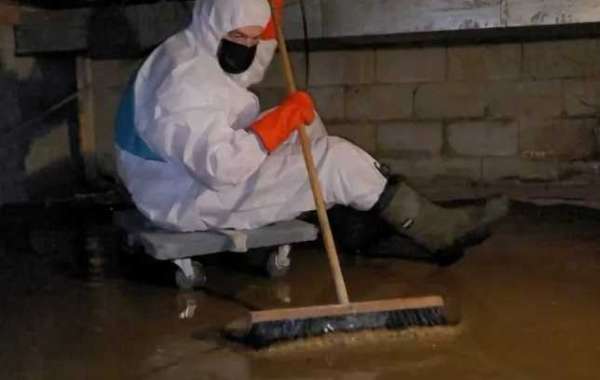 What to Do In the event that Your Basement Floods