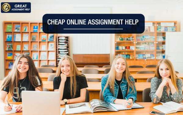 The assignment help agencies can provide you with ultimate assistance in different ways